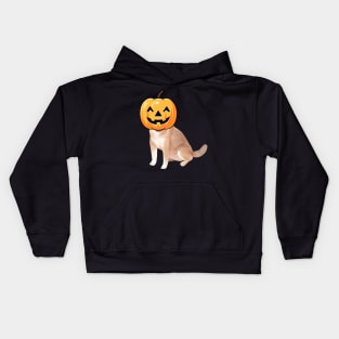 labrador retriever is a Jack-o-Lantern Kids Hoodie